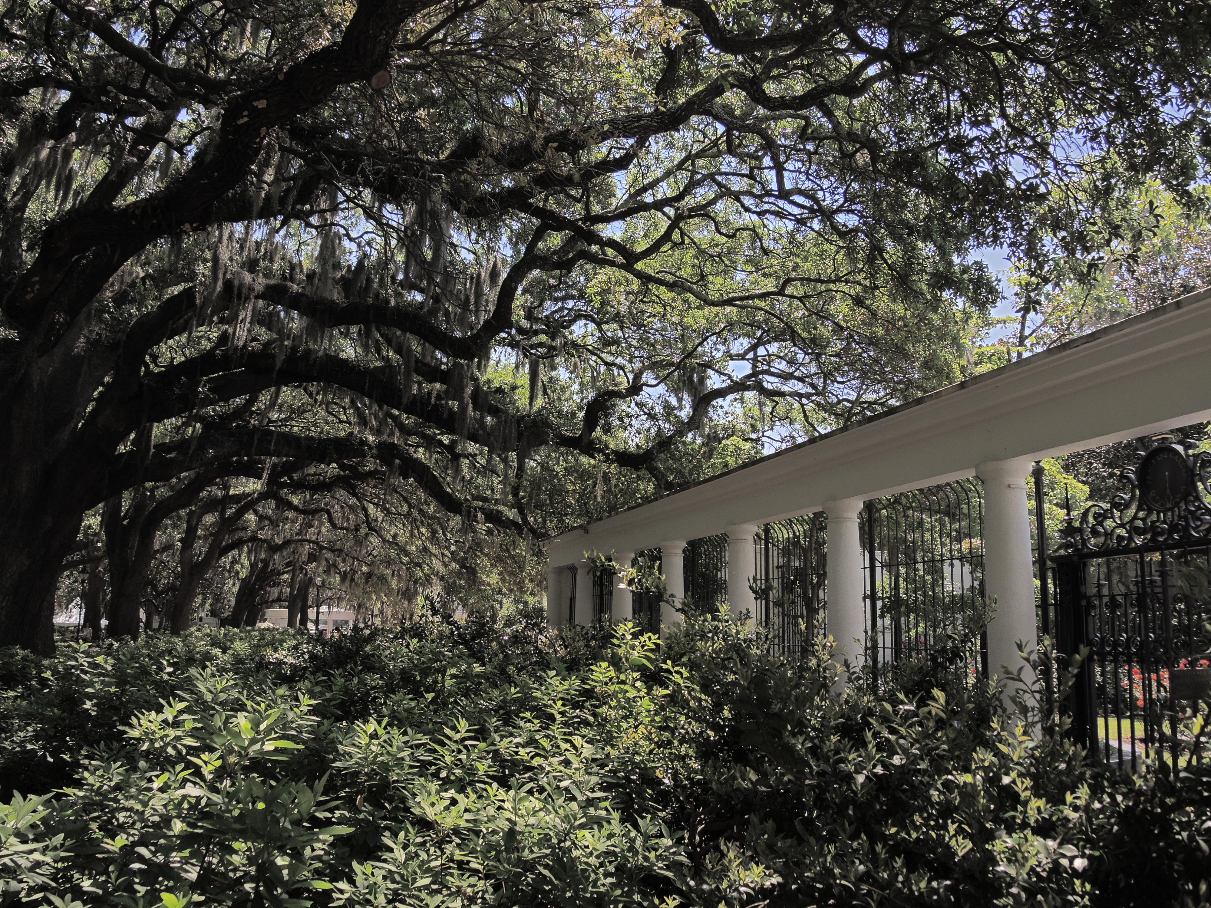 See Historic Savannah in a Day