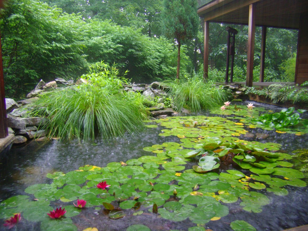 Meditation Sanctuary Pond at Omega Institute, Rhinebeck, New York. Omega offers a variety of opportunities for personal growth in spring, summer, or fall. 
