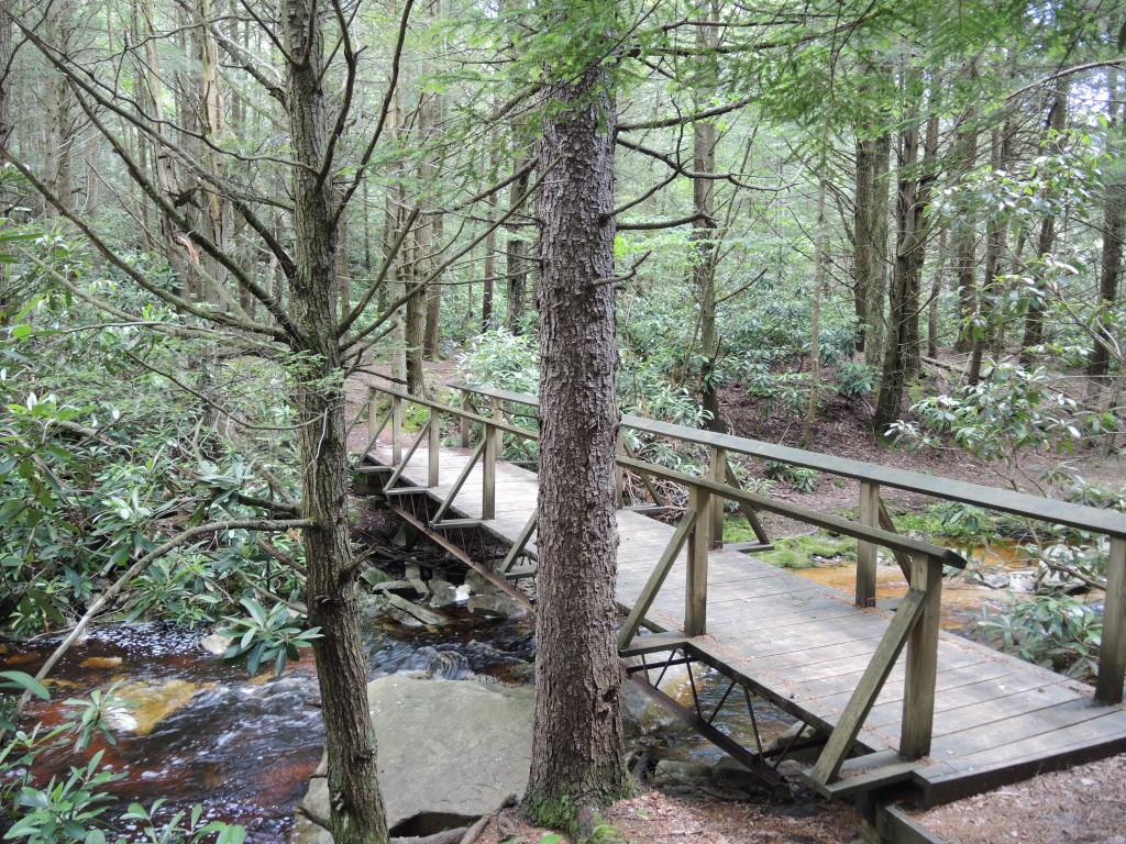 Bridge Along the Yellow Birch Trail