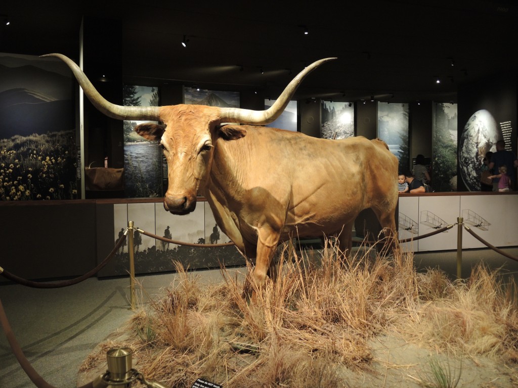 From the Museum of Westward Expansion