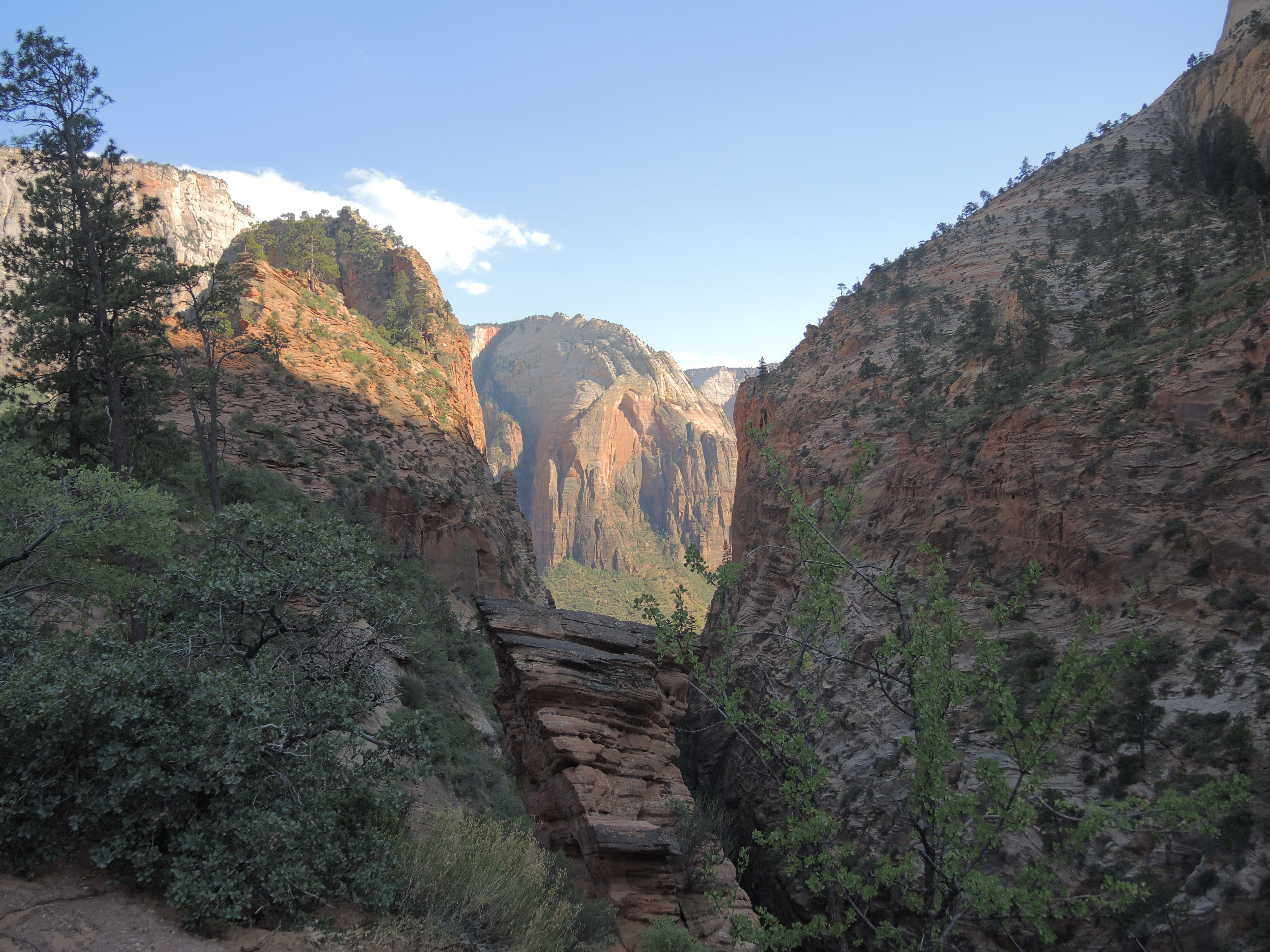 Zion National Park: Hiking and Serendipity