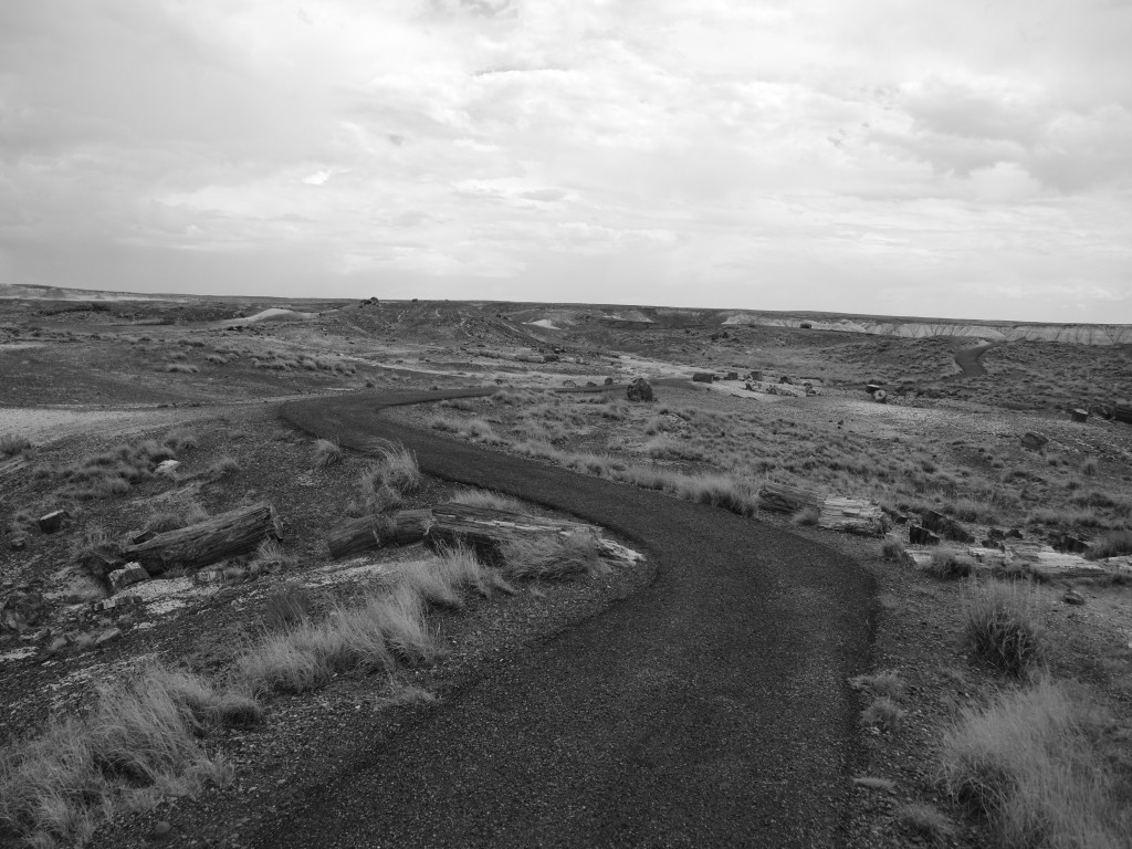 Road through the Petrified Forest in Black and White