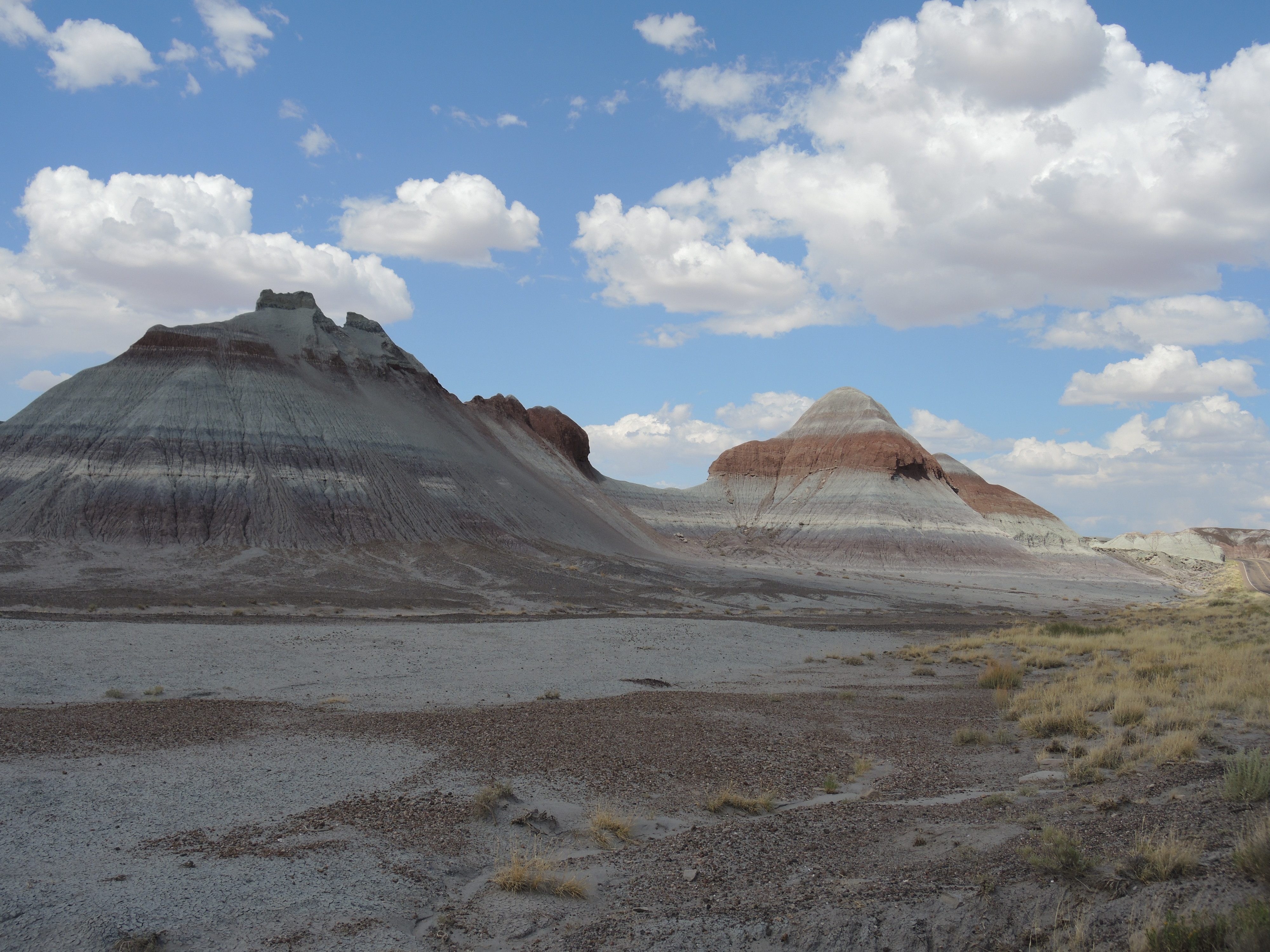 The Petrified Forest