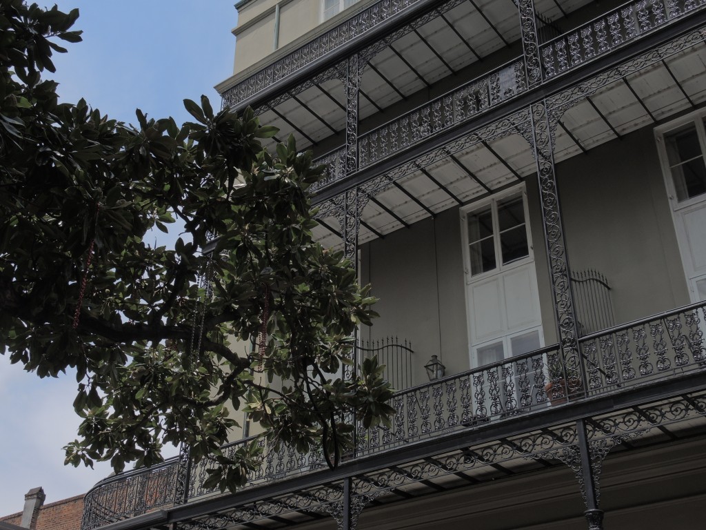 Tree Strewn with Faded Mardi Gras Beads in the Garden District 