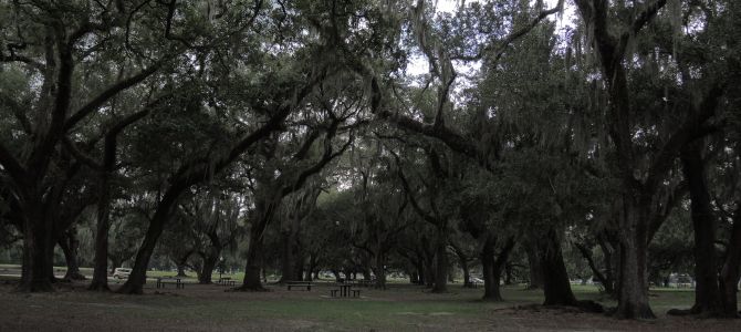 New Orleans: Parties and Parks