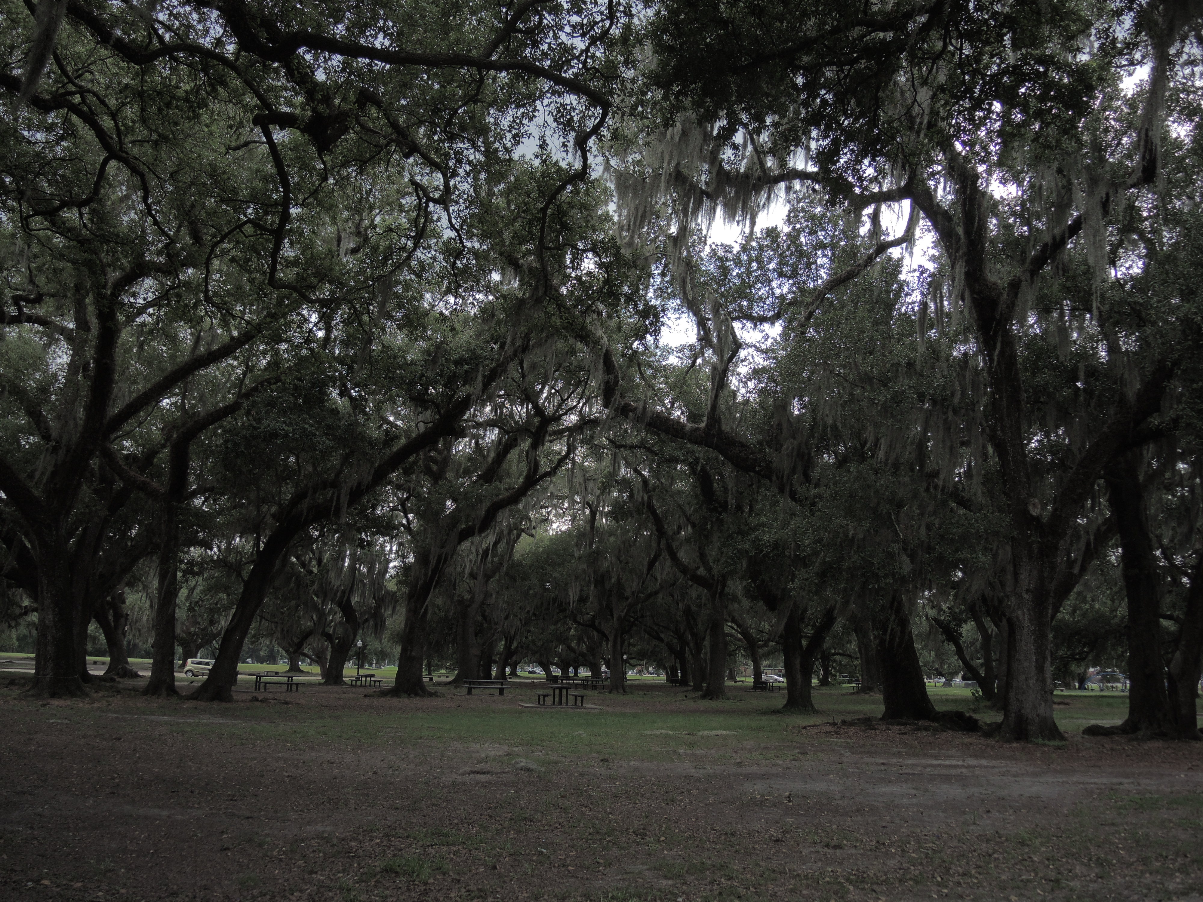 New Orleans: Parties and Parks